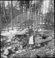Frau beim Brennholz sammeln; 1942