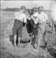 Schulkinder beim Ähren lesen, Nachlese im Rheintal; 1941
