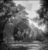 Parco Civico Lugano 1940