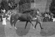 rdb00256849