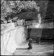 Bärengraben in Bern 1941