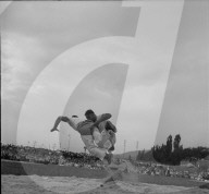 rdb00258923