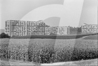 rdb00260317