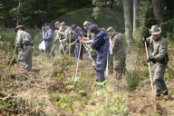rdb00260321