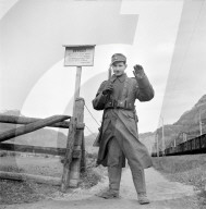 rdb00223975
