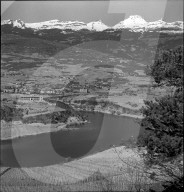 rdb00261828