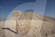 rdb00262130