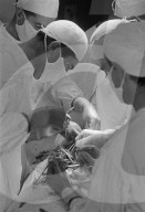 Prof. Ake Senning bei Herztransplantation, Zürich 1969