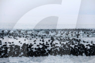 FEATURE - Best of: Bilder des Tages