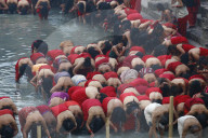 FEATURE - Best of: Bilder des Tages
