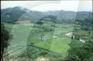 Reisfelder in Thailand 1994