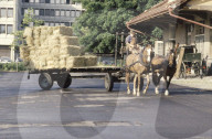 EMPFA; Pferdefuhrwerk mit Strohballen 1985