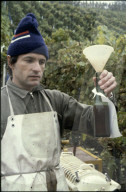 Winzer bei der Arbeit, Rebberg Sternenberg, 1980