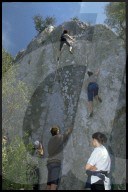 rdb00235046
