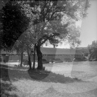 rdb00274080