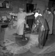 Bekämpfung der Maul- und Klauenseuche, 1953