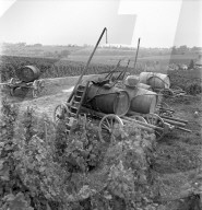 rdb00275267