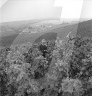 rdb00275268