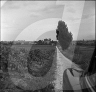 rdb00275304