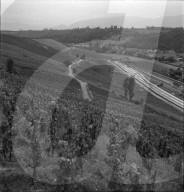 rdb00275305