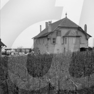 «Mise des vins de la ville de Lausanne», Wein-Versteigerung, 1955