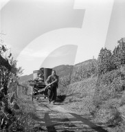 rdb00276471