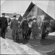 Berner Polizisten mit Drogenhunden auf der Suche nach Haschisch 1971