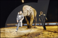 Zirkus Knie: Elefant rasiert Artisten, ca. 1985