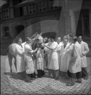 rdb00280631