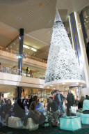 rdb00282946