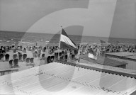 rdb00266468