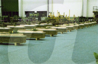 rdb00267427