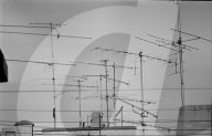 rdb00286905