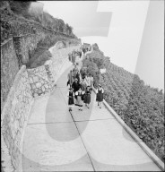rdb00287295