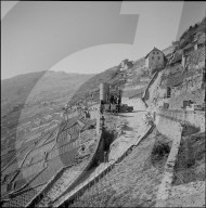 rdb00288284