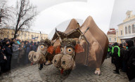FEATURE - Best of: Bilder des Tages