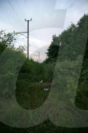 rdb00289136