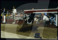 Carl Lewis