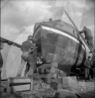 rdb00290433