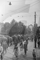 rdb00304258