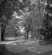 rdb00292721