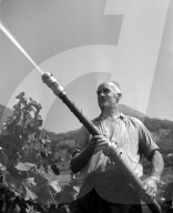 rdb00305303