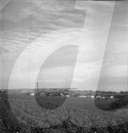 rdb00305306