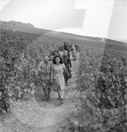 rdb00305383