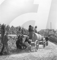 rdb00305394