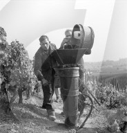 rdb00305401