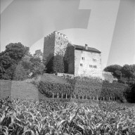 rdb00296365