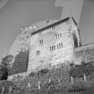 rdb00296366