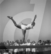 rdb00308228