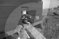 rdb00296652